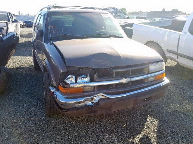 1GNDT13W2X2118605 - 1999 CHEVROLET BLAZER TAN photo 1