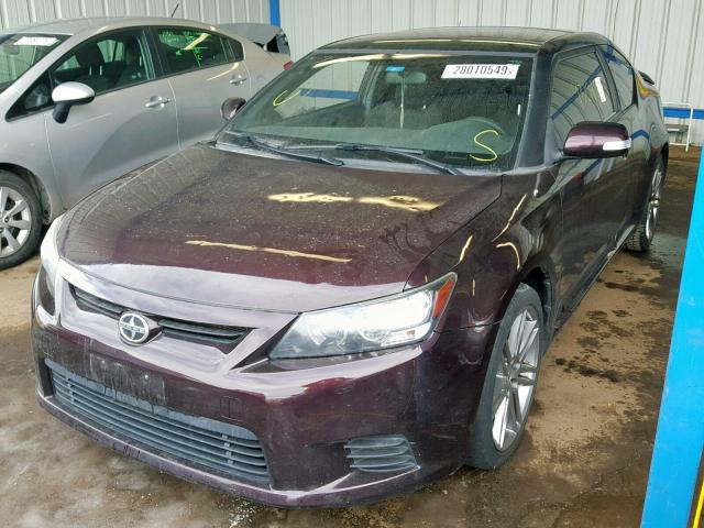 JTKJF5C75C3033726 - 2012 TOYOTA SCION TC მუქწითელი ფოტო 2
