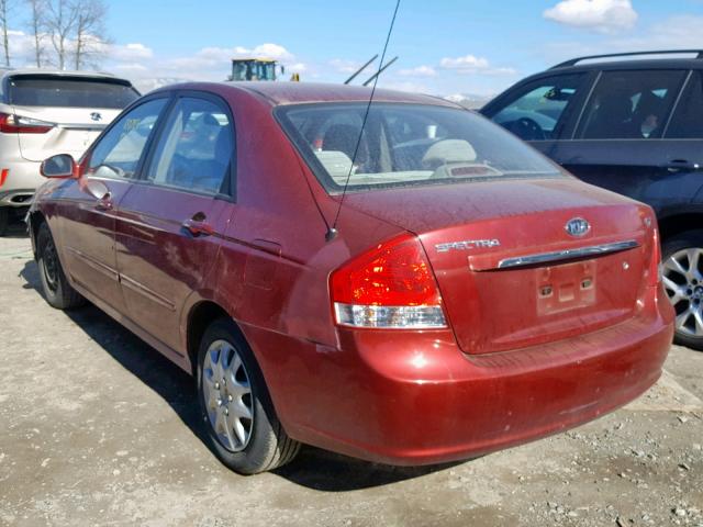 KNAFE121875399435 - 2007 KIA SPECTRA EX MAROON photo 3