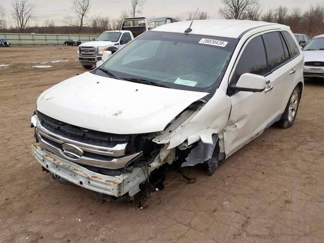 2FMDK4JC2BBA13468 - 2011 FORD EDGE SEL WHITE photo 2