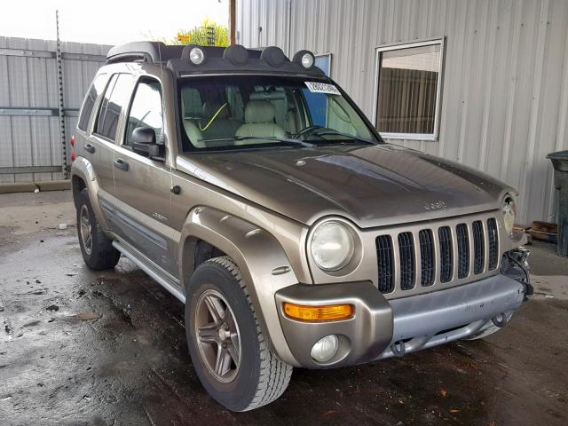 1J4GK38K64W240506 - 2004 JEEP LIBERTY RE GOLD photo 1