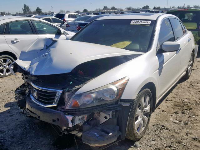 1HGCP36819A030253 - 2009 HONDA ACCORD EXL WHITE photo 2