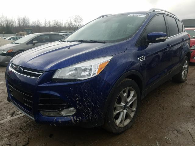 1FMCU0J90EUE36812 - 2014 FORD ESCAPE TITANIUM  photo 2