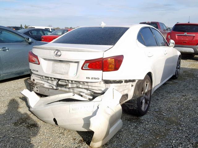 JTHBK262195097585 - 2009 LEXUS IS 250 WHITE photo 4