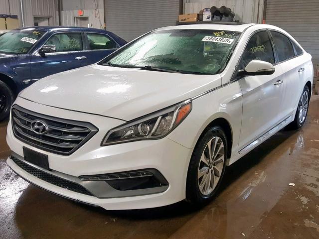 5NPE34AF9GH409506 - 2016 HYUNDAI SONATA SPO WHITE photo 2