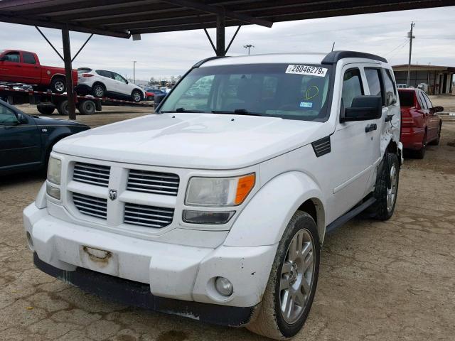 1D4PT4GK1BW589101 - 2011 DODGE NITRO HEAT WHITE photo 2