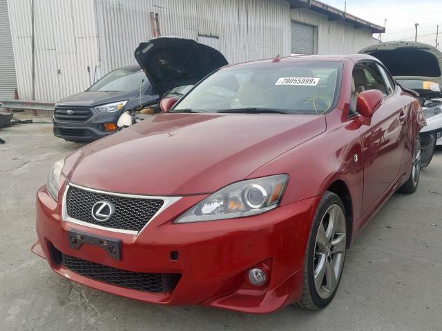 JTHFF2C2XE2531301 - 2014 LEXUS IS 250 RED photo 2