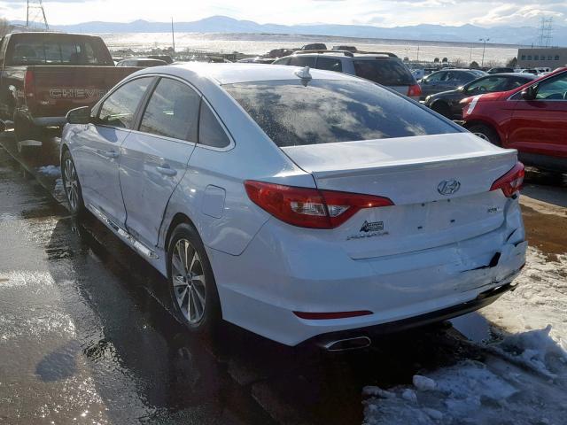 5NPE34AF2FH030295 - 2015 HYUNDAI SONATA SPO WHITE photo 3