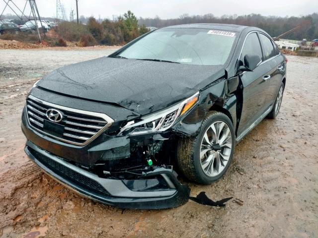 5NPE34AB3FH132203 - 2015 HYUNDAI SONATA SPO BLACK photo 2