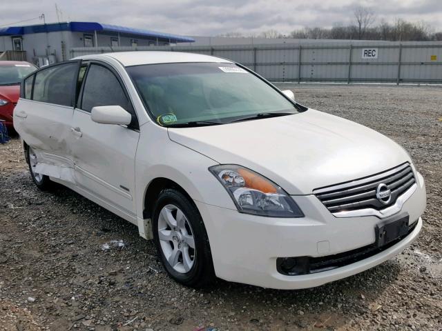 1N4CL21E18C189994 - 2008 NISSAN ALTIMA HYB WHITE photo 1