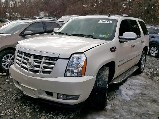 1GYUKBEF3AR282355 - 2010 CADILLAC ESCALADE L WHITE photo 2