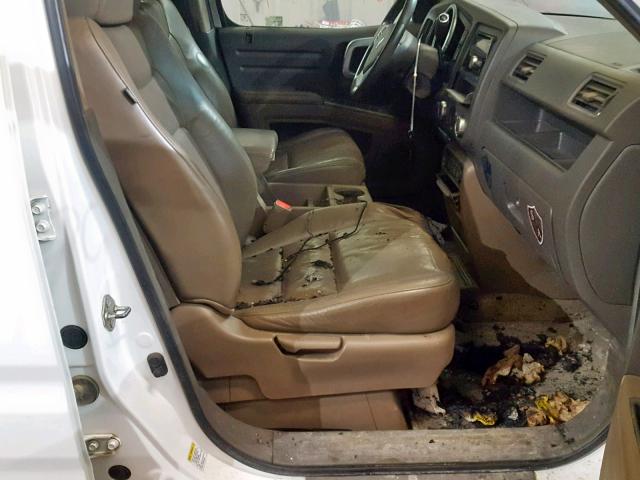 2HJYK16577H523443 - 2007 HONDA RIDGELINE WHITE photo 5