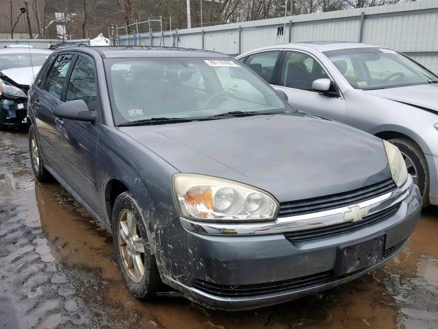 1G1ZT64854F234261 - 2004 CHEVROLET MALIBU MAX 灰色 照片 1