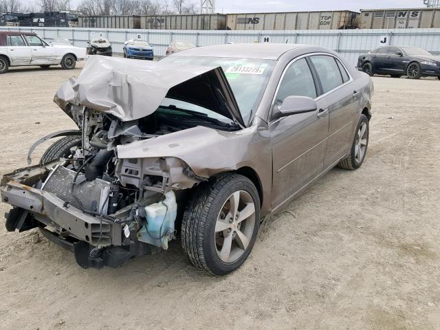 1G1ZC5E1XBF336745 - 2011 CHEVROLET MALIBU 1LT BROWN photo 2