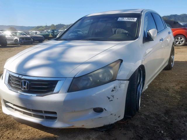 1HGCP36878A056662 - 2008 HONDA ACCORD EXL WHITE photo 2