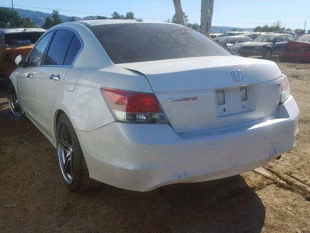 1HGCP36878A056662 - 2008 HONDA ACCORD EXL WHITE photo 3