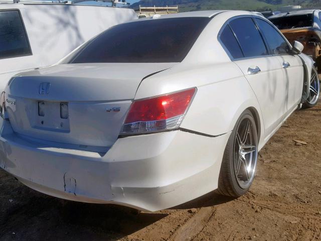 1HGCP36878A056662 - 2008 HONDA ACCORD EXL WHITE photo 4