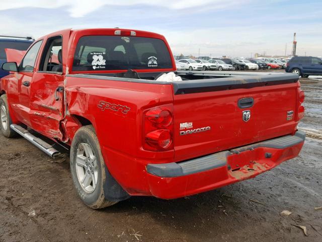 1D3HE68N38S534429 - 2008 DODGE DAKOTA SPO RED photo 3