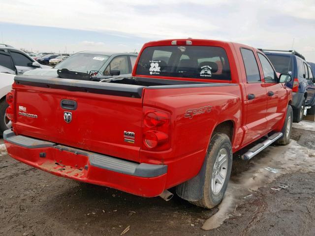 1D3HE68N38S534429 - 2008 DODGE DAKOTA SPO RED photo 4