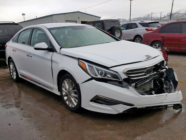 5NPE34AF0FH015911 - 2015 HYUNDAI SONATA SPO WHITE photo 1