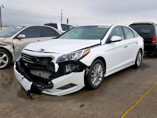 5NPE34AF0FH015911 - 2015 HYUNDAI SONATA SPO WHITE photo 2