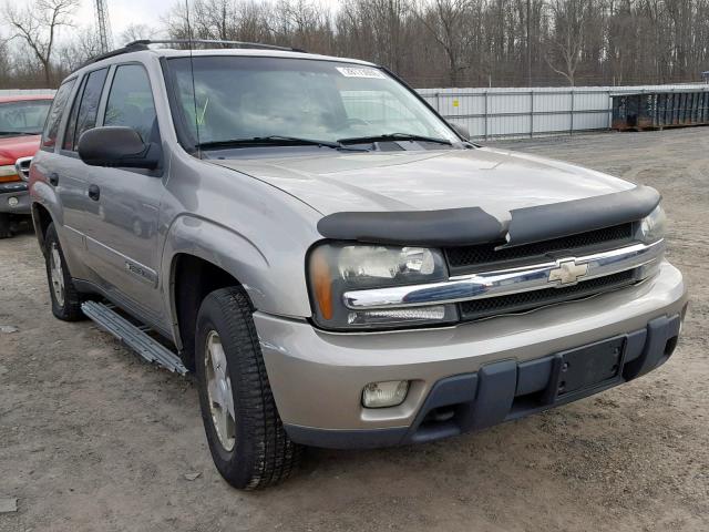 1GNDT13SX32109366 - 2003 CHEVROLET TRAILBLAZE BEIGE photo 1