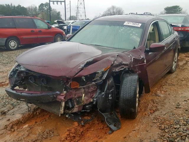 1HGCP26839A199068 - 2009 HONDA ACCORD EXL MAROON photo 2