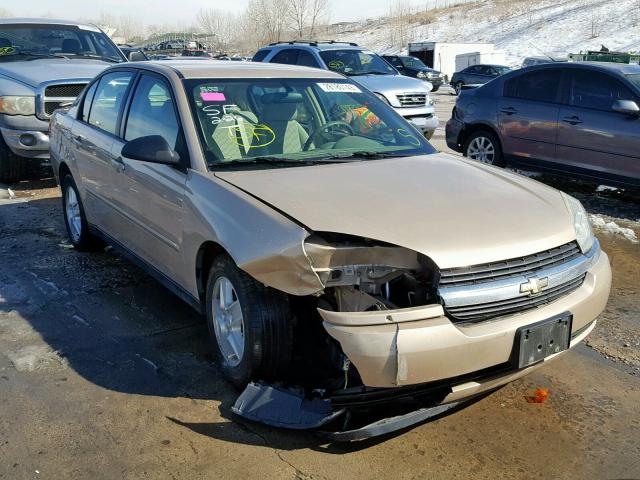 1G1ZT52825F306435 - 2005 CHEVROLET MALIBU LS GOLD photo 1