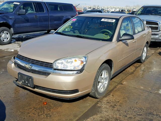 1G1ZT52825F306435 - 2005 CHEVROLET MALIBU LS GOLD photo 2