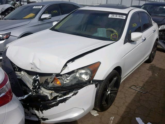 1HGCP26838A004049 - 2008 HONDA ACCORD EXL WHITE photo 2