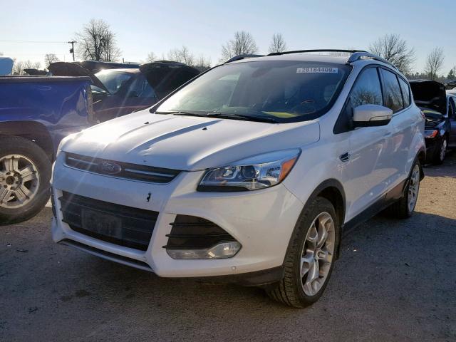 1FMCU9J94EUD32103 - 2014 FORD ESCAPE TIT WHITE photo 2