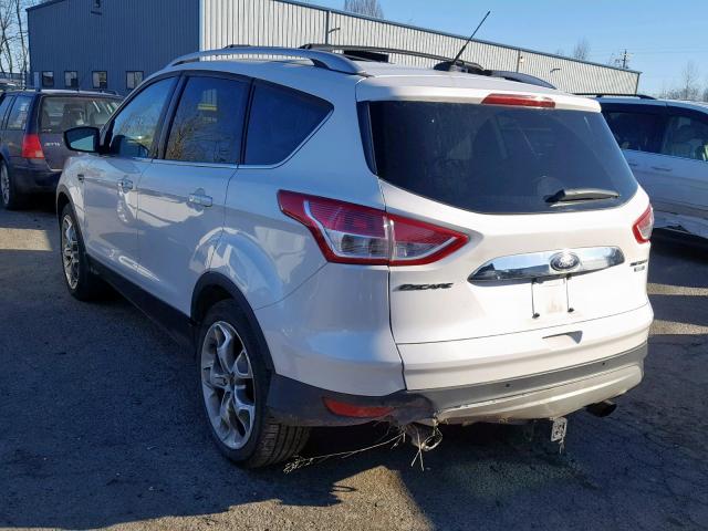 1FMCU9J94EUD32103 - 2014 FORD ESCAPE TIT WHITE photo 3