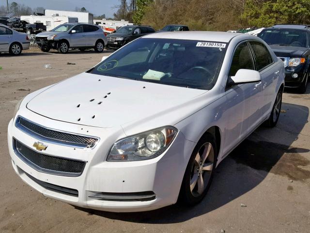 1G1ZC5E08AF183398 - 2010 CHEVROLET MALIBU 1LT თეთრი ფოტო 2