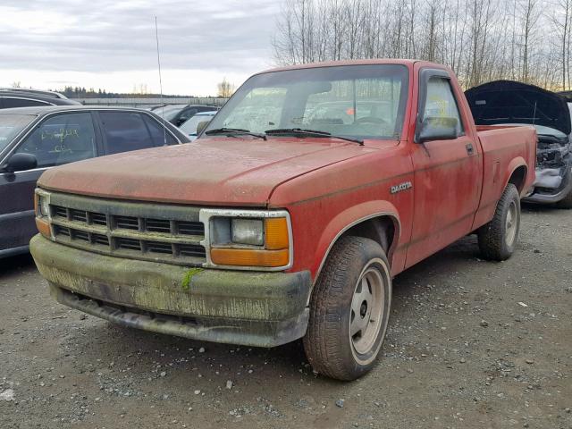 1B7FL16G1MS229048 - 1991 DODGE DAKOTA RED photo 2