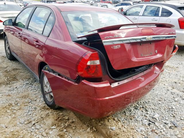 1G1ZT52855F260499 - 2005 CHEVROLET MALIBU LS RED photo 3