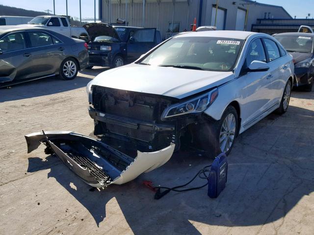 5NPE34AF6FH160905 - 2015 HYUNDAI SONATA SPO WHITE photo 2