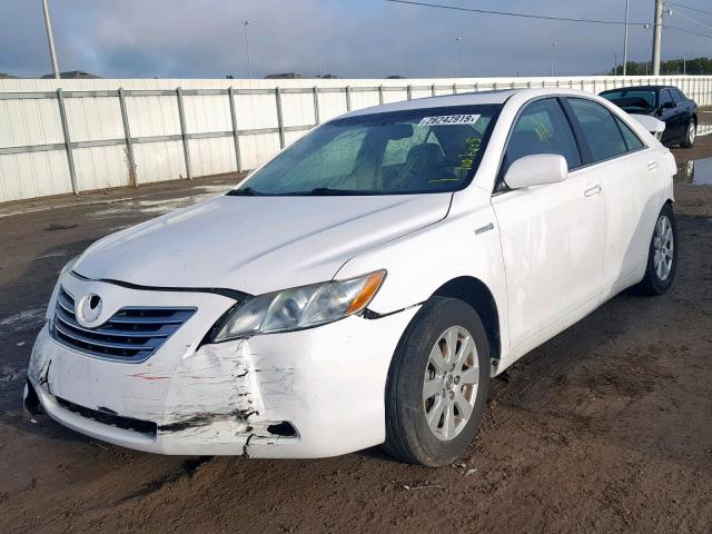 4T1BB46K79U080904 - 2009 TOYOTA CAMRY HYBR WHITE photo 2