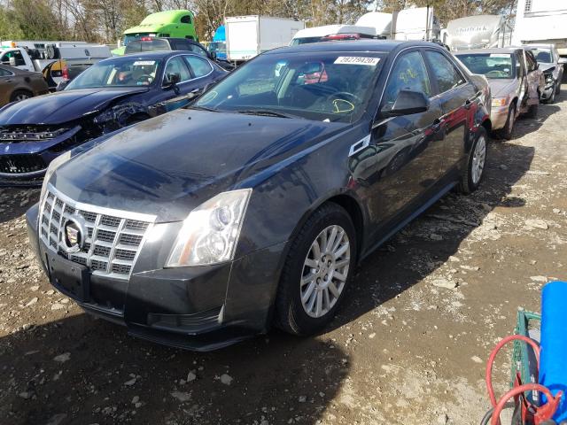 1G6DG5E53D0105316 - 2013 CADILLAC CTS LUXURY COLLECTION  photo 2