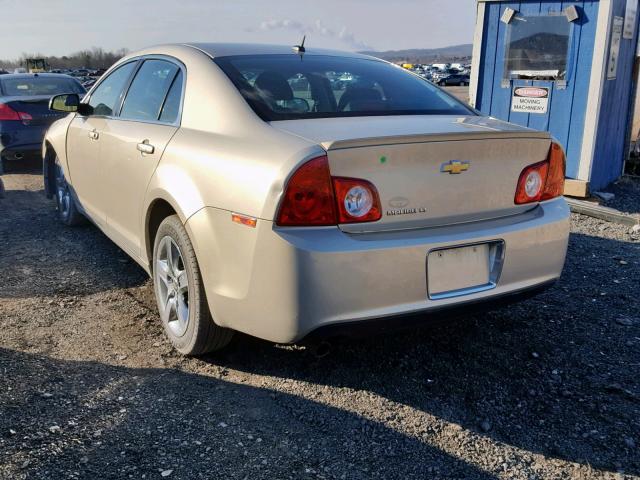 1G1ZC5EBXAF240122 - 2010 CHEVROLET MALIBU 1LT თაფლისფერი ფოტო 3