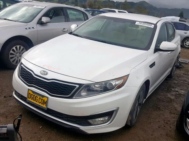 KNAGM4AD2B5006266 - 2011 KIA OPTIMA HYB WHITE photo 2