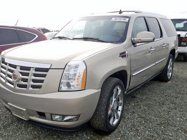 1GYFK66818R105846 - 2008 CADILLAC ESCALADE E GOLD photo 2