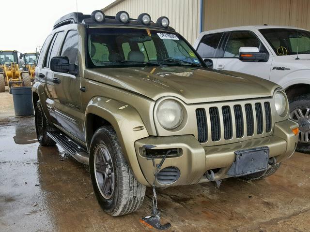 1J4GL38K83W735575 - 2003 JEEP LIBERTY RE GREEN photo 1