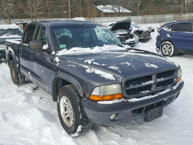 1D7HL38N73S181382 - 2003 DODGE DAKOTA QUA GRAY photo 1