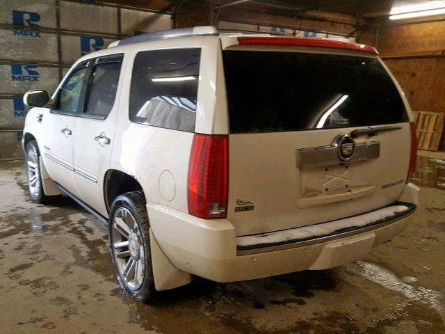 1GYS4CEF1BR126792 - 2011 CADILLAC ESCALADE P WHITE photo 3