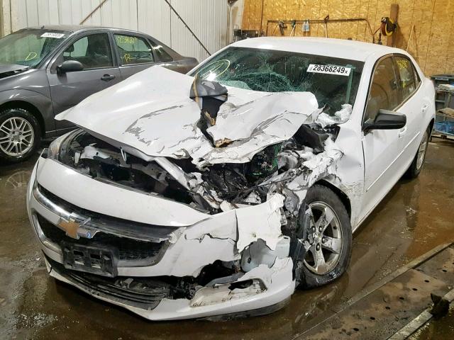 1G11B5SL7EF137808 - 2014 CHEVROLET MALIBU LS WHITE photo 2