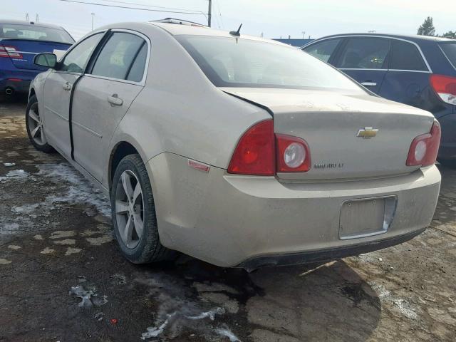 1G1ZC5E10BF160207 - 2011 CHEVROLET MALIBU 1LT 棕色 照片 3