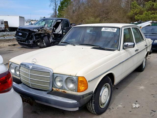 12312312023672 - 1977 MERCEDES-BENZ 240 D CREAM photo 2