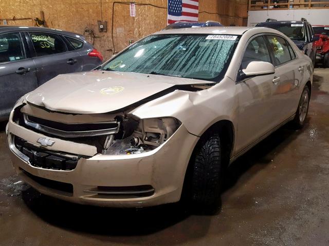 1G1ZC5E08AF159327 - 2010 CHEVROLET MALIBU 1LT 金色 照片 2