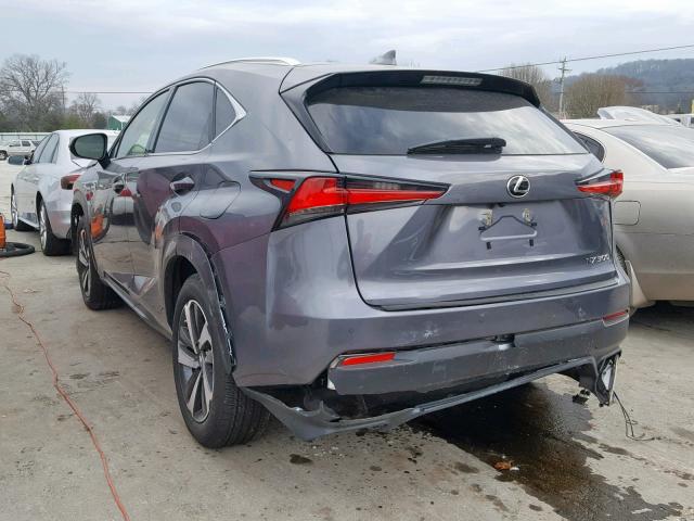 JTJYARBZ8K2118110 - 2019 LEXUS NX 300 GRAY photo 3