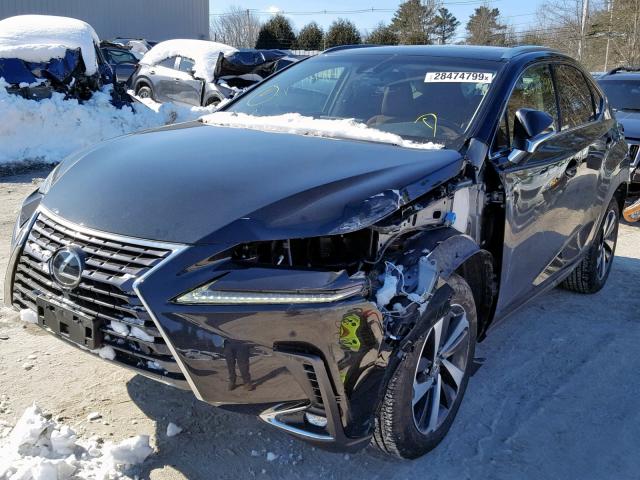 JTJBARBZ3K2182724 - 2019 LEXUS NX 300 BLACK photo 2